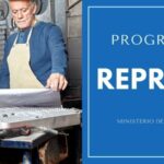 PROGRAMA-REPRO-II-MINISTERIO-DE-TRABAJO-IGNACIO-ONLINe (1)