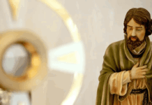 Celebración del Día del Santo Patrono