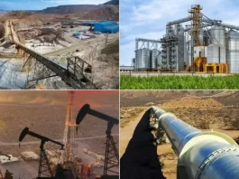 El Gobierno Nacional oficializó la prórroga del RIGI hasta julio de 2027