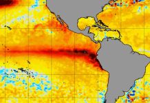 Prevenir para liderar: recomendaciones y claves para el sector comercial y de servicios ante el fenómeno de El Niño