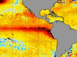 Prevenir para liderar: recomendaciones y claves para el sector comercial y de servicios ante el fenómeno de El Niño