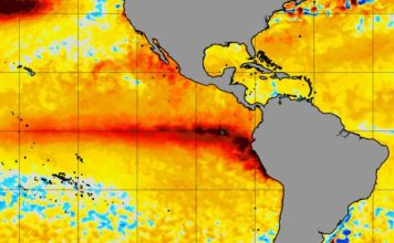 Prevenir para liderar: recomendaciones y claves para el sector comercial y de servicios ante el fenómeno de El Niño