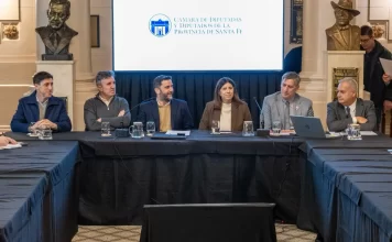 Más allá de Vaca Muerta: FECECO participó del debate sobre el futuro de la economía santafesina en la Legislatura provincial