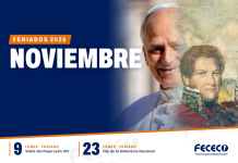 ¿Cómo trabajará el comercio en los feriados nacionales del 9 y el 23 de noviembre?